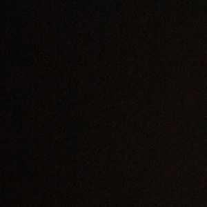 Meet your Posher, Ally